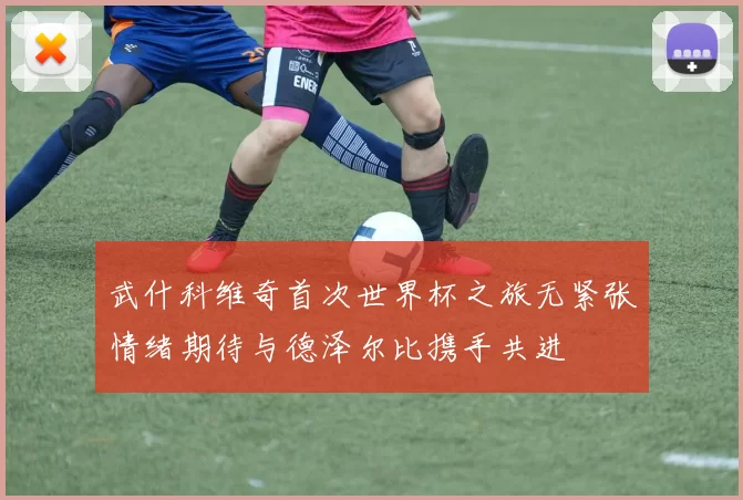 武什科维奇首次世界杯之旅无紧张情绪期待与德泽尔比携手共进