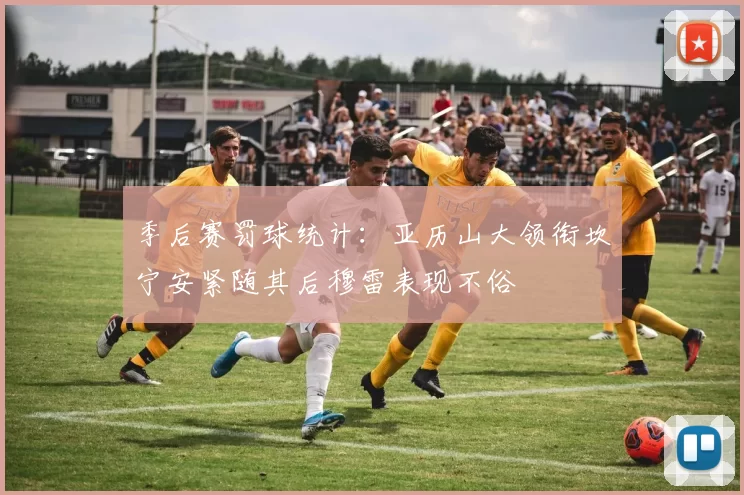 季后赛罚球统计：亚历山大领衔坎宁安紧随其后穆雷表现不俗